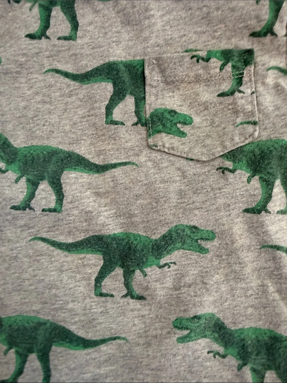 GAP Gray Tee with Green Dinosaur Print